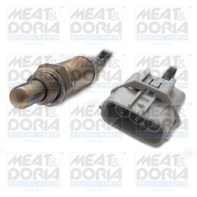 Oxygen Sensor